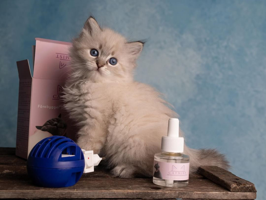 Catmist Nachfüllung beruhigend für Katzen